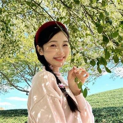 花开蝶满枝